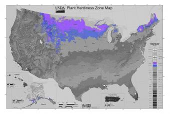 Plant Hardiness Zone Map 4