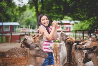 Girl petting deer at petting zoo