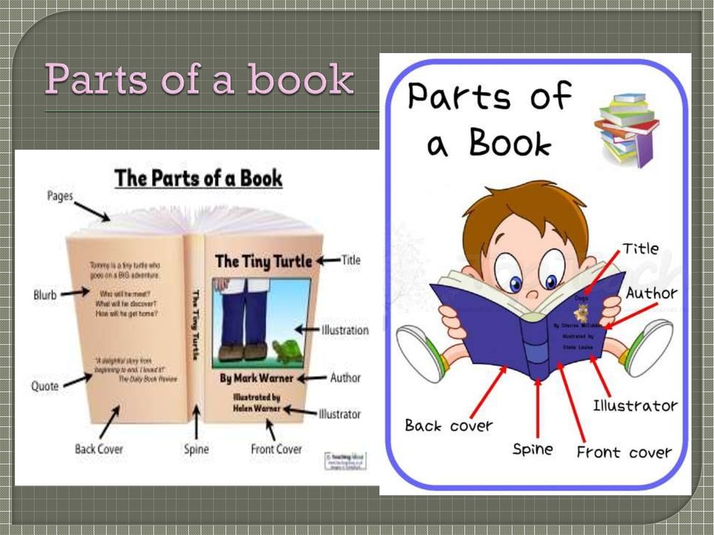 Books and reading (lesson 3) - online presentation