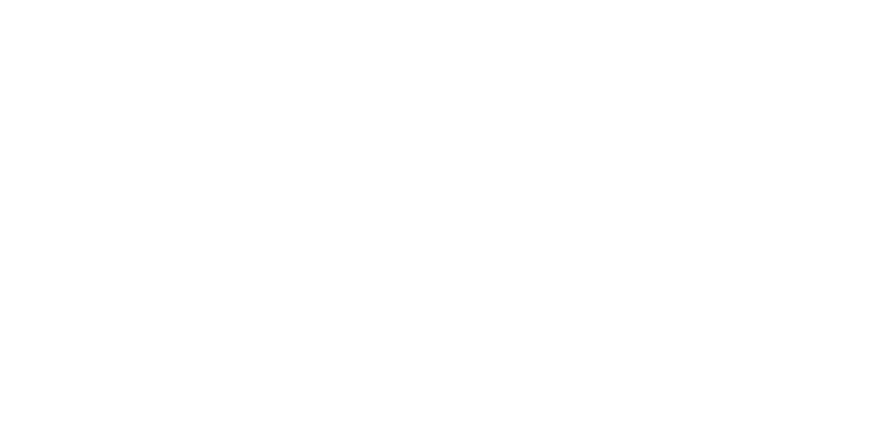 University of South Florida logo