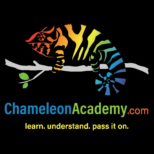 Chameleon Academy Logo with yellow motto