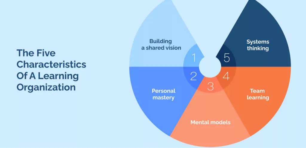 The Five Characteristics Of A Learning Organization