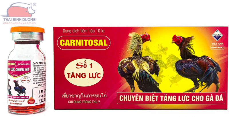 Cách Tăng Trọng Cho Gà Đá – Bí Quyết Cực Đỉnh