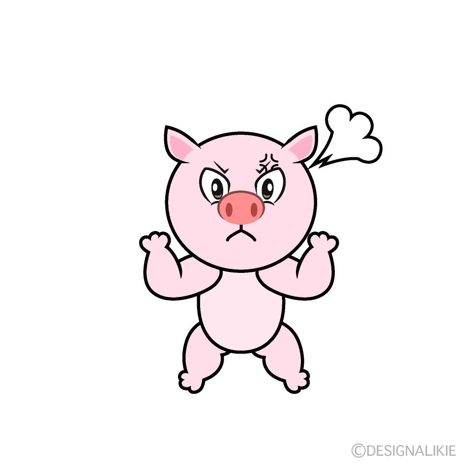 Angry Pig Cartoon Character Image