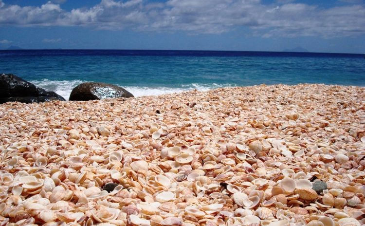 The sea-water in the L'Haridon Bight has a high salinity due to both the geomorphology and local weather of the area.