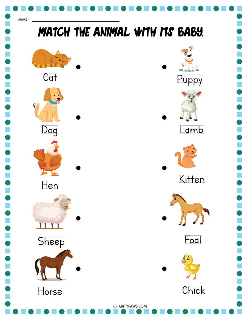 Worksheets About Animals Free Pdf Printable