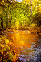 Cataloochee Valley