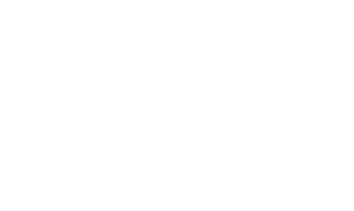 CharlieTheTraveler