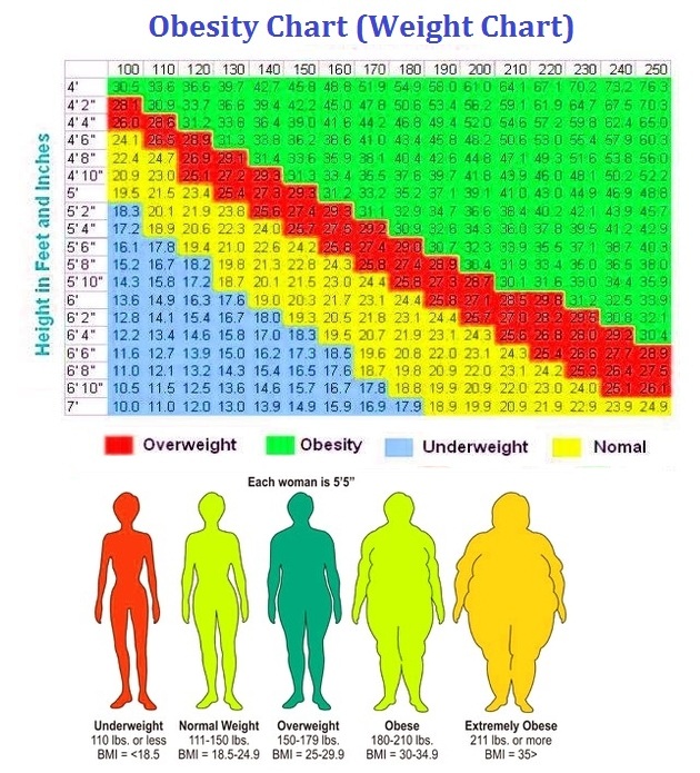 obesity chart