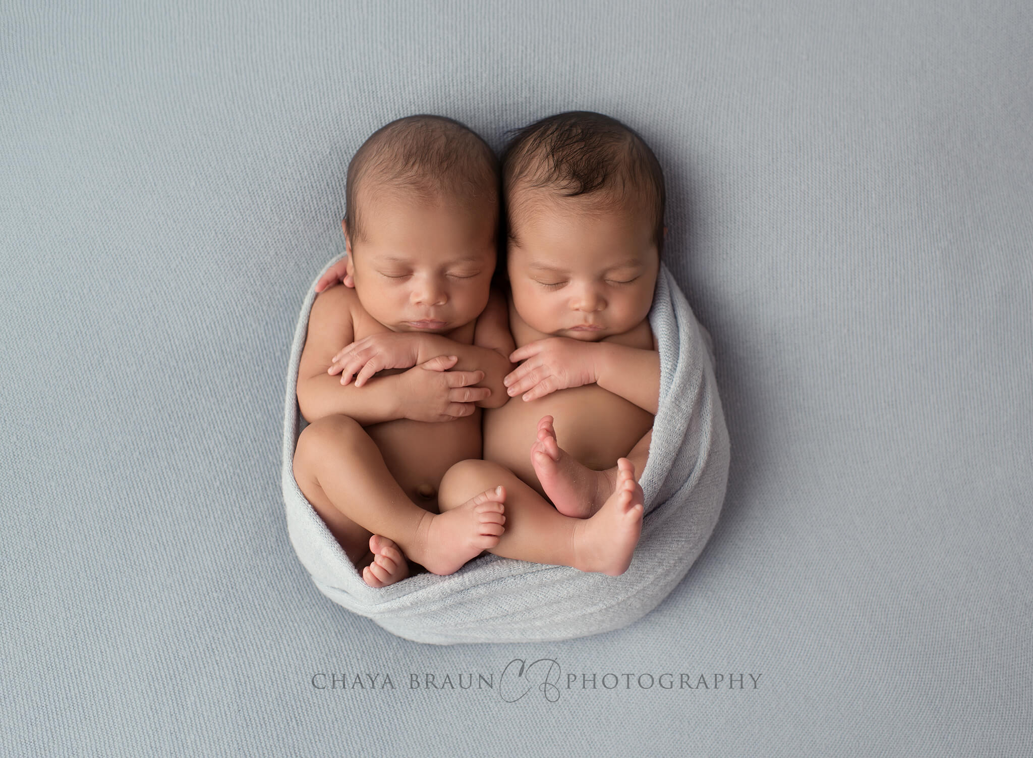 newborn twins photography