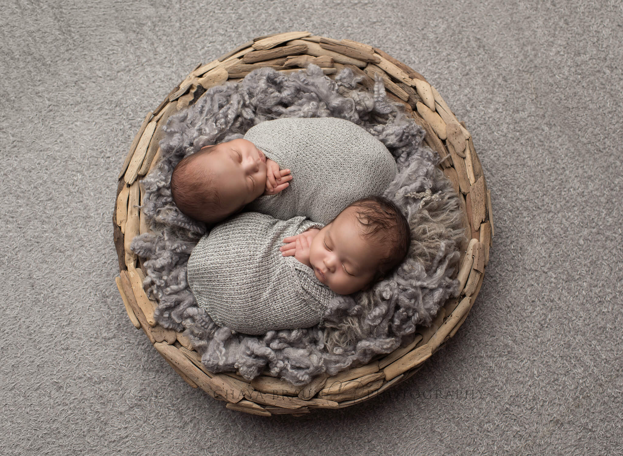 newborn twins photography