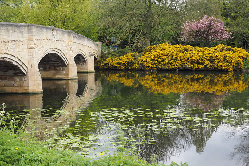 Leicester Abbey Park bridge and river