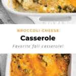 Broccoli cheese casserole.