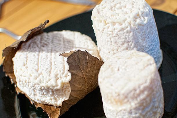 Chabichou and Mothais sur Feuille cheeses, in Celles-Sur-Belle, France