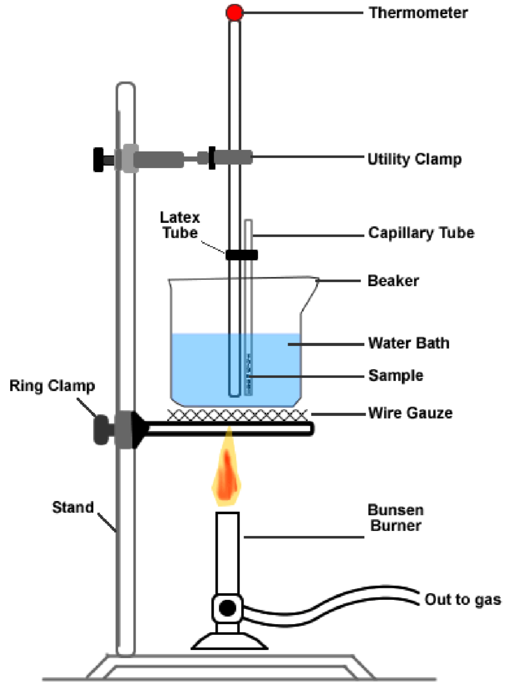 Science Bunsen Burner Diagram Royalty Free Vector Ima - vrogue.co