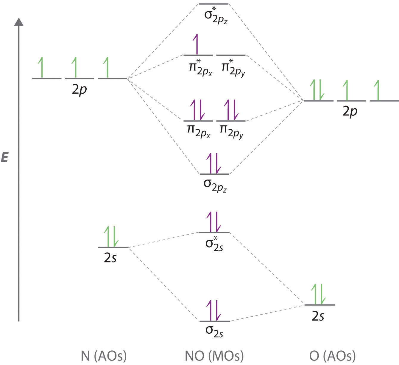 Molecular Orbital Diagram Of No