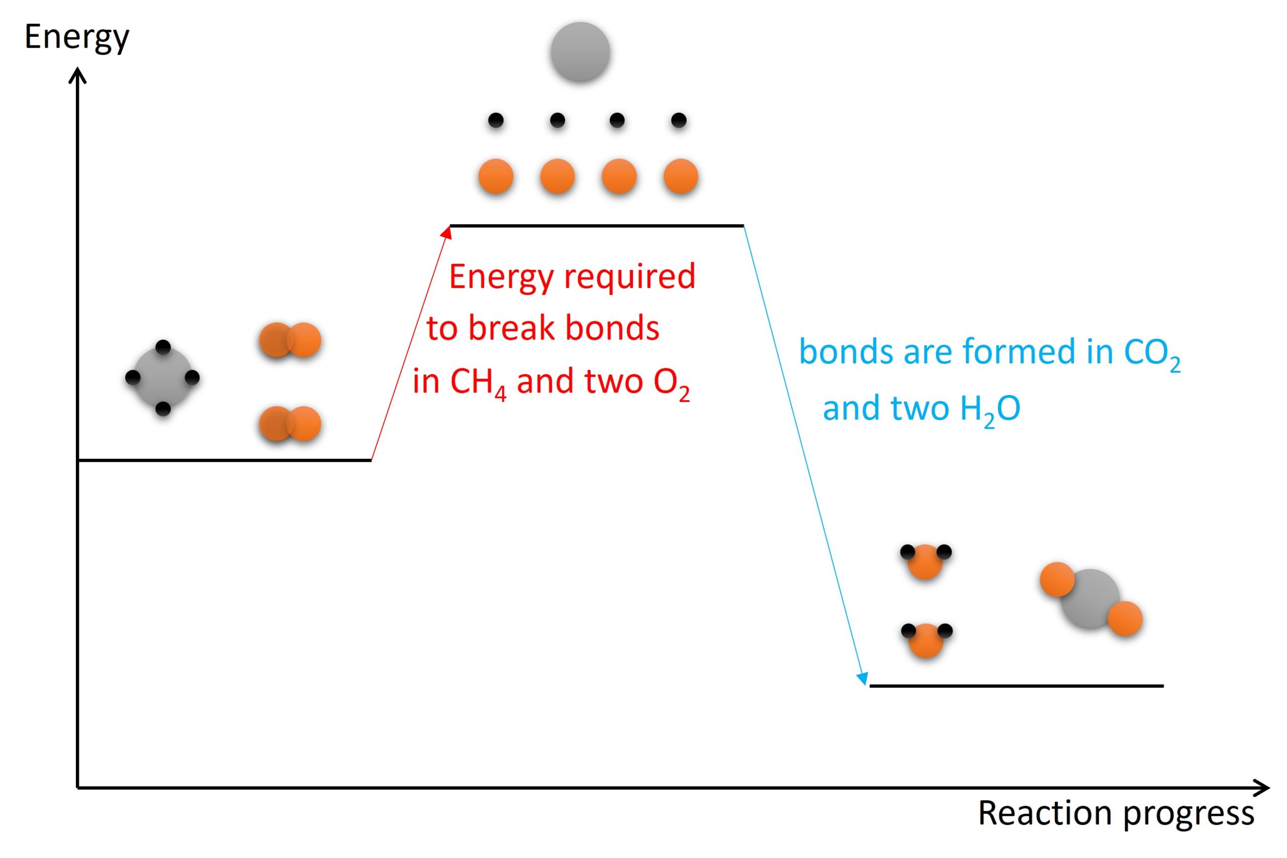 5.1 Exothermic and endothermic reactions – IGCSE and A Level Chemistry ...