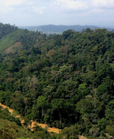 Image of a river flowing along the base of a hill covered in trees.