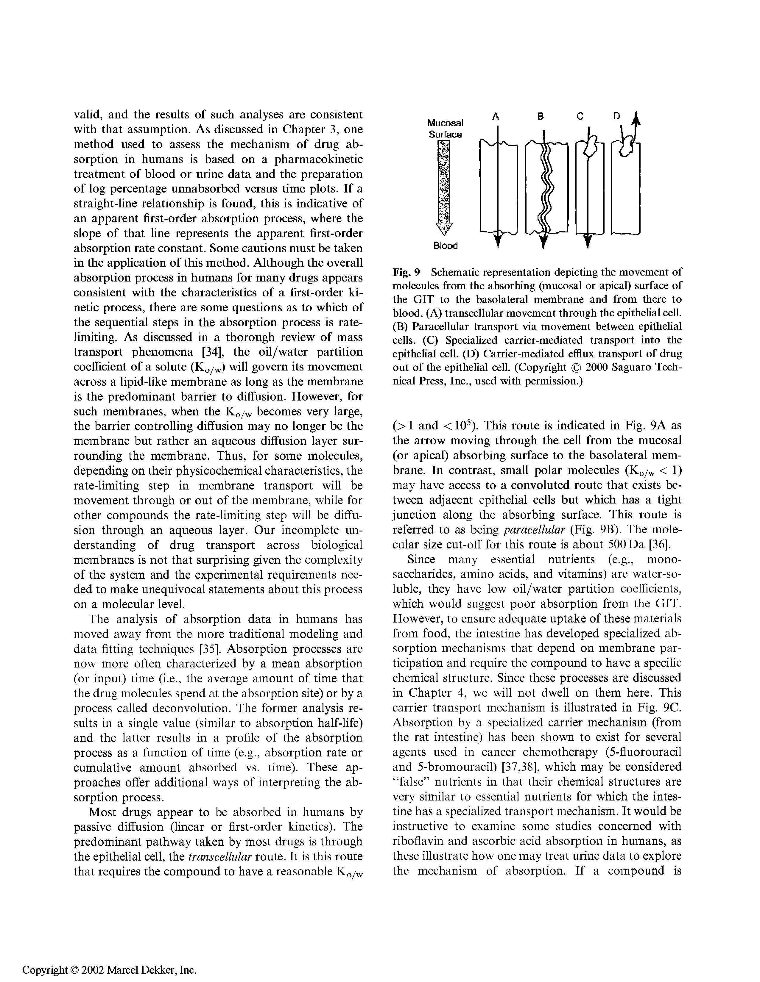 Fig. 9 Schematic representation depicting the movement of molecules from the absorbing (mucosal or apical) surface of the GIT to the basolateral membrane and from there to blood. (A) transcellular movement through the epithelial cell. (B) Paracellular transport via movement between epithelial cells. (Q Specialized carrier-mediated transport into the epithelial cell. (D) Carrier-mediated efflux transport of drug out of the epithelial cell. (Copyright 2000 Saguaro Technical Press, Inc., used with permission.)...