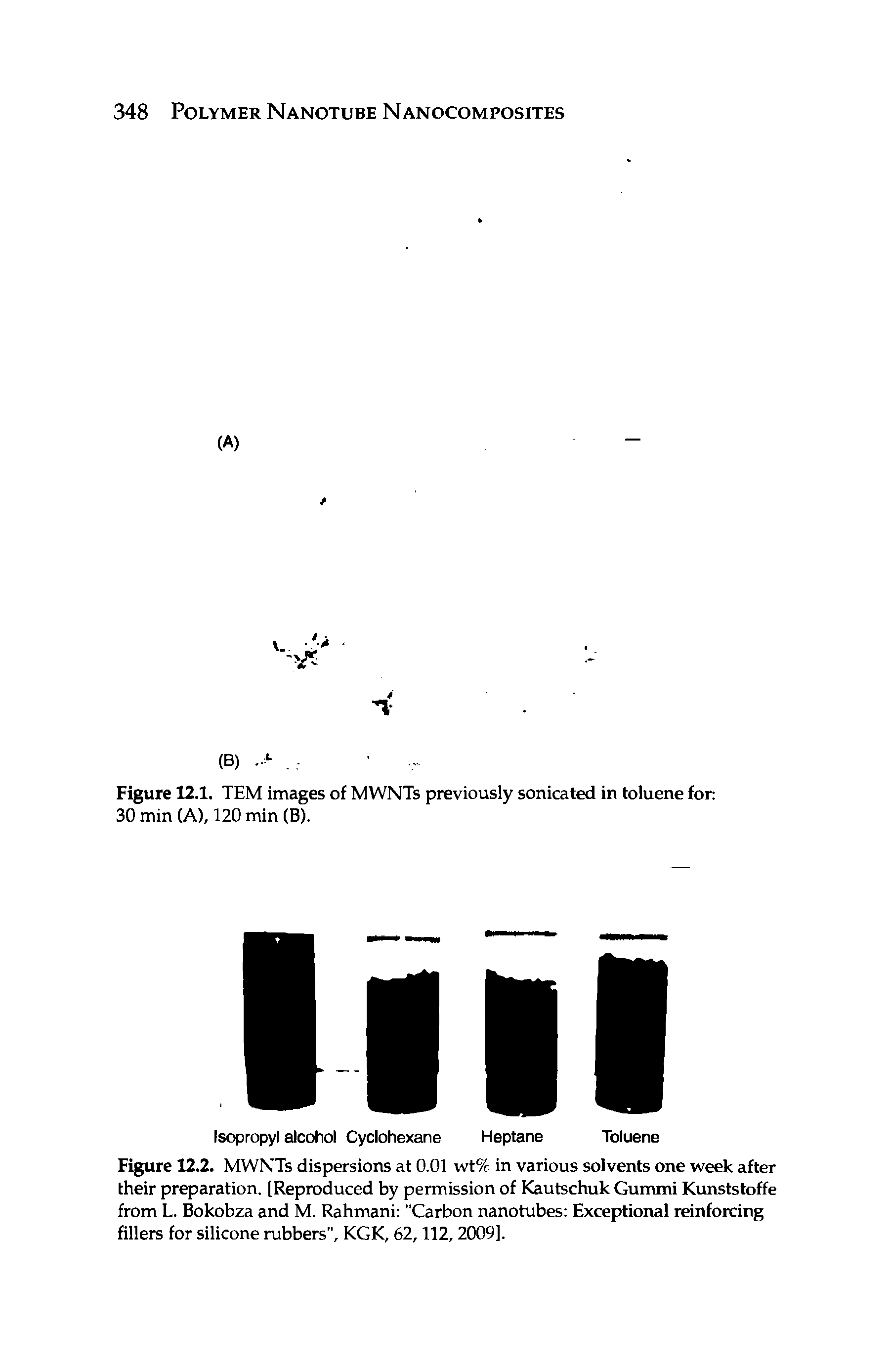 Figure 12.2. MWNTs dispersions at 0.01 wt% in various solvents one week after their preparation. [Reproduced by permission of Kautschuk Gummi Kunststoffe from L. Bokobza and M. Rahmani "Carbon nanotubes Exceptional reinforcing fillers for silicone rubbers", KGK, 62,112,2009].