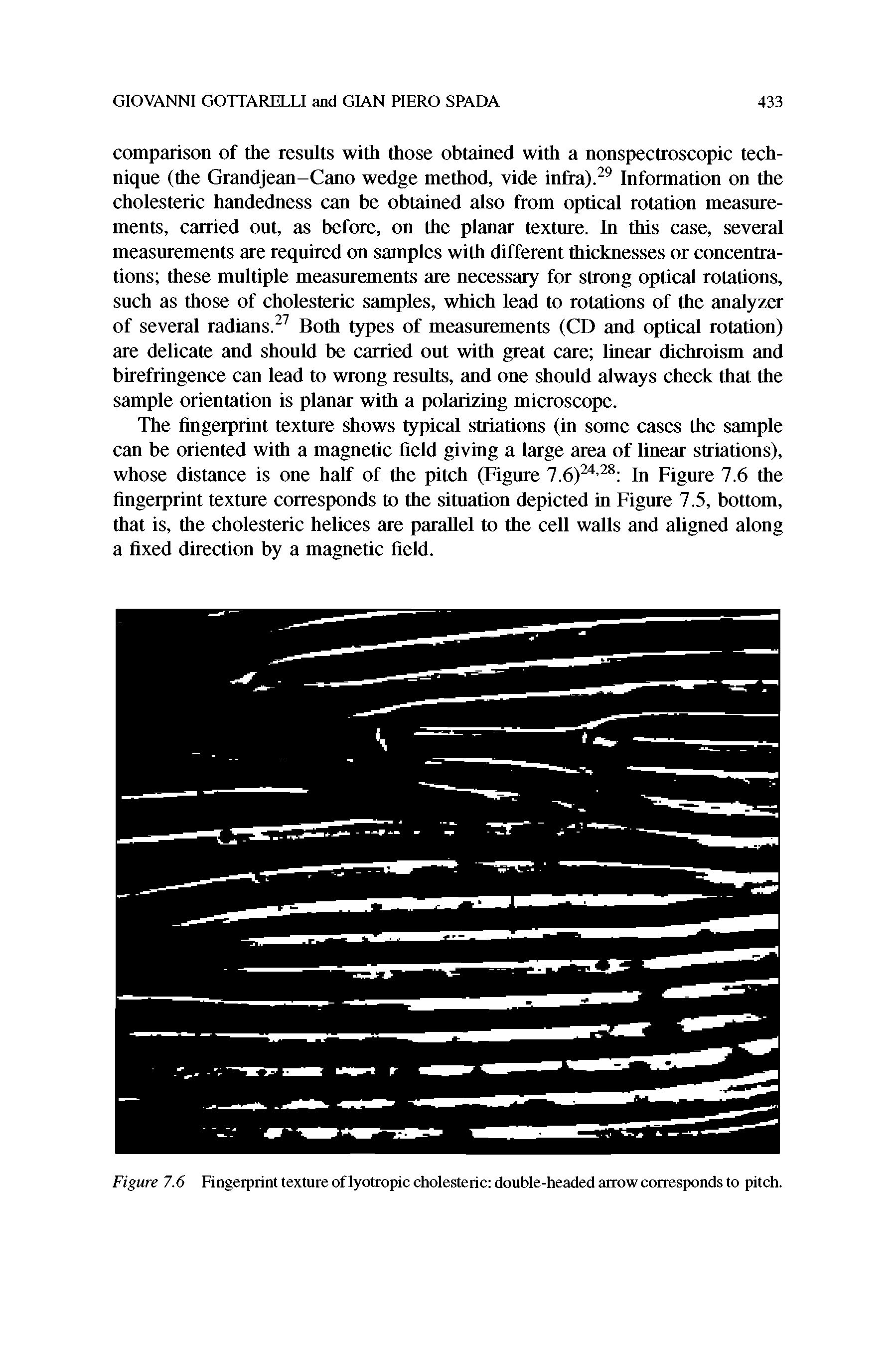 Figure 7.6 Fingerprint texture of lyotropic cholesteric double-headed arrow corresponds to pitch.