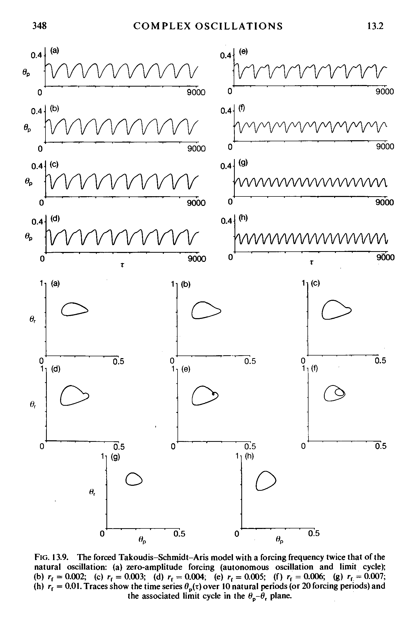 Fig. 13.9. The forced Takoudis-Schmidt-Aris model with a forcing frequency twice that of the natural oscillation (a) zero-amplitude forcing (autonomous oscillation and limit cycle) (b) r, = 0.002 (c) r, = 0.003 (d) r, = 0.004 (e) r, = 0.005 (f) rr = 0.006 (g) rf = 0.007 (h) rf = 0.01. Traces show the time series 0p(t) over 10 natural periods (or 20 forcing periods) and the associated limit cycle in the 0 -6, plane.