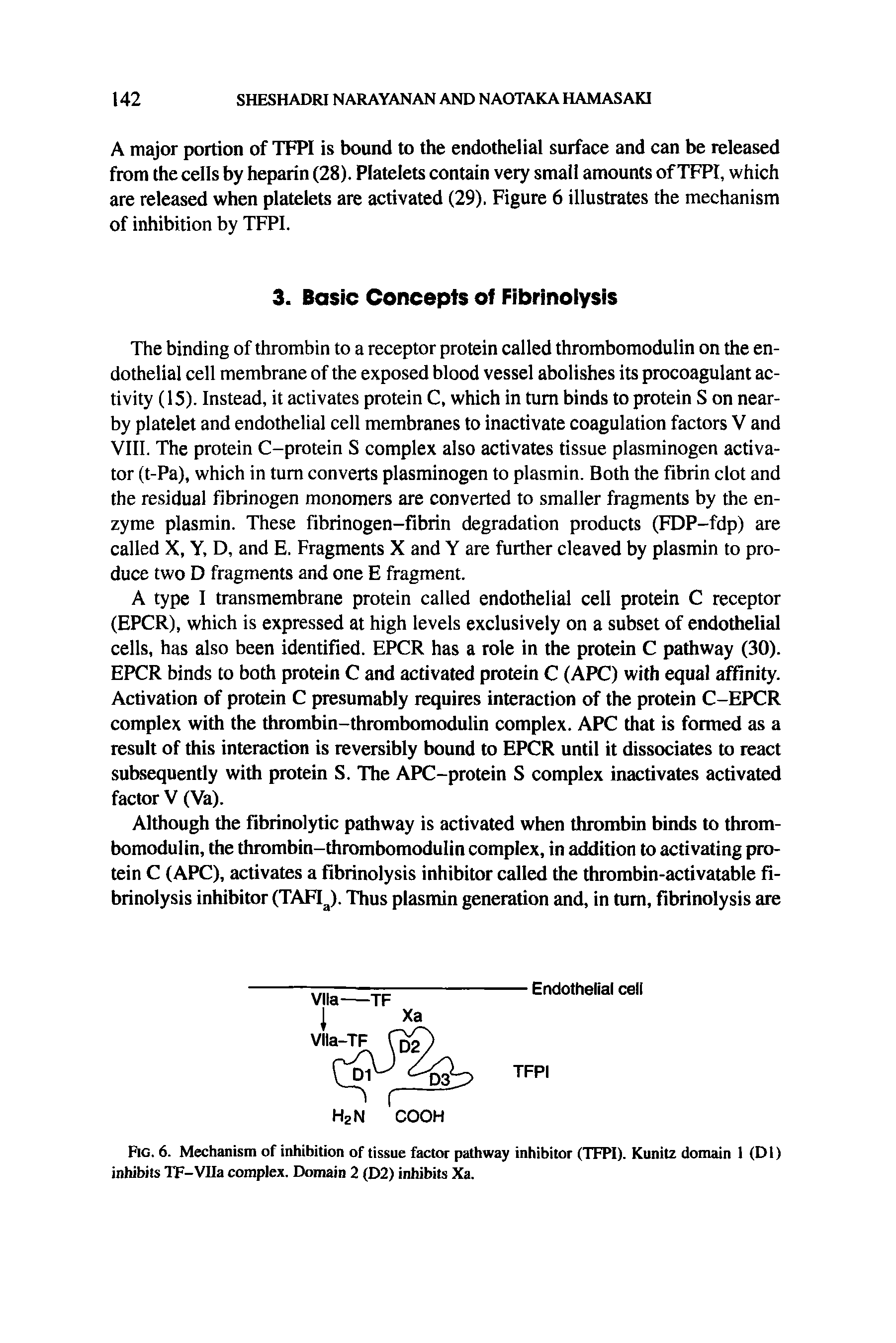 Fig. 6. Mechanism of inhibition of tissue factor pathway inhibitor (TFPI). Kunitz domain 1 (Dl) inhibits TF-VIIa complex. Domain 2 (D2) inhibits Xa.