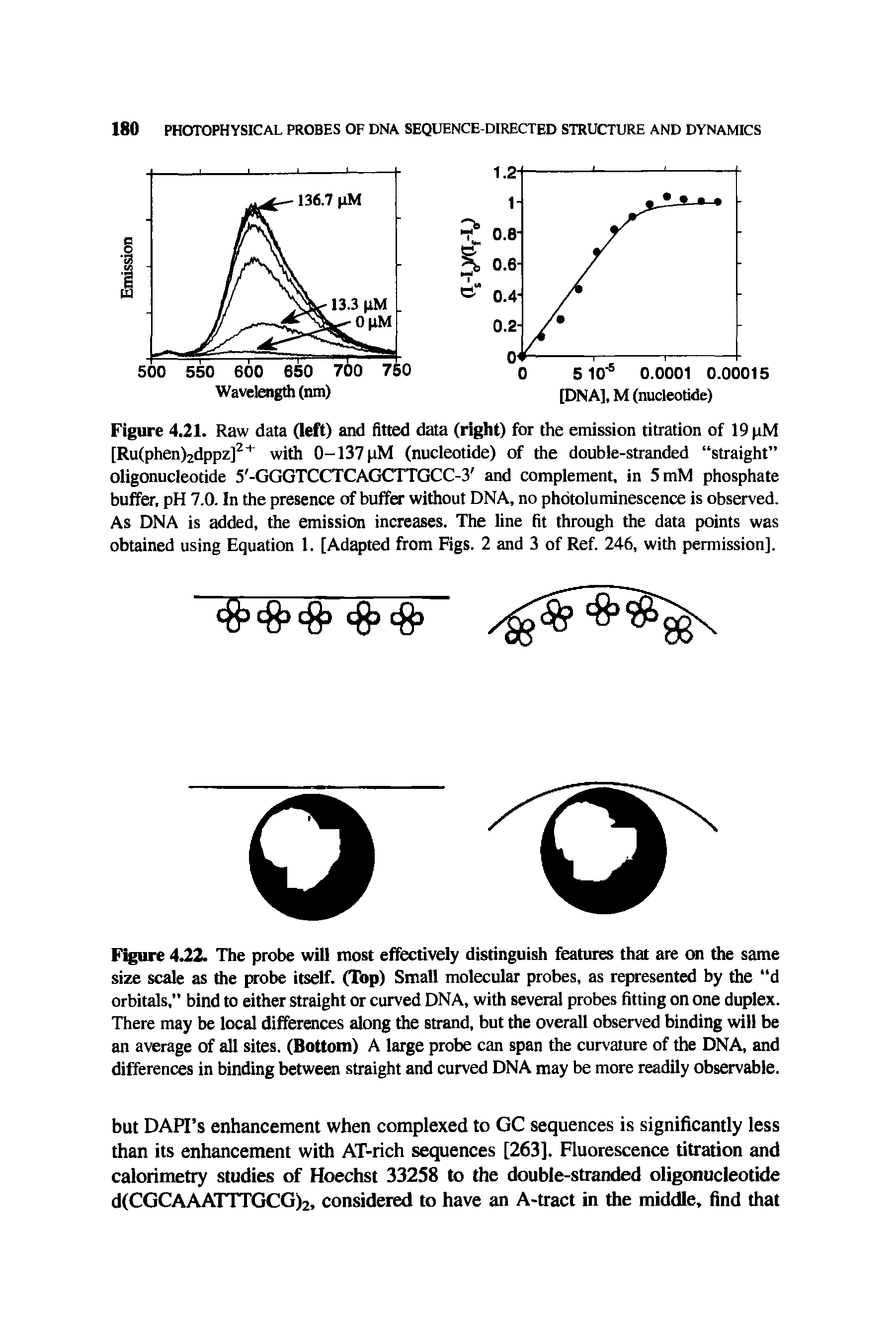 Figure 4J12. The probe will most effectively distinguish features that are on the same size scale as the probe itself. (Top) Small molecular probes, as represented by the d orbitals, bind to either straight or curved DNA, with several probes fitting on one duplex. There may be local differences along the strand, but the overall observed binding will be an average of all sites. (Bottom) A large probe can span the curvature of the DNA, and differences in binding between straight and curved DNA may be more readily observable.