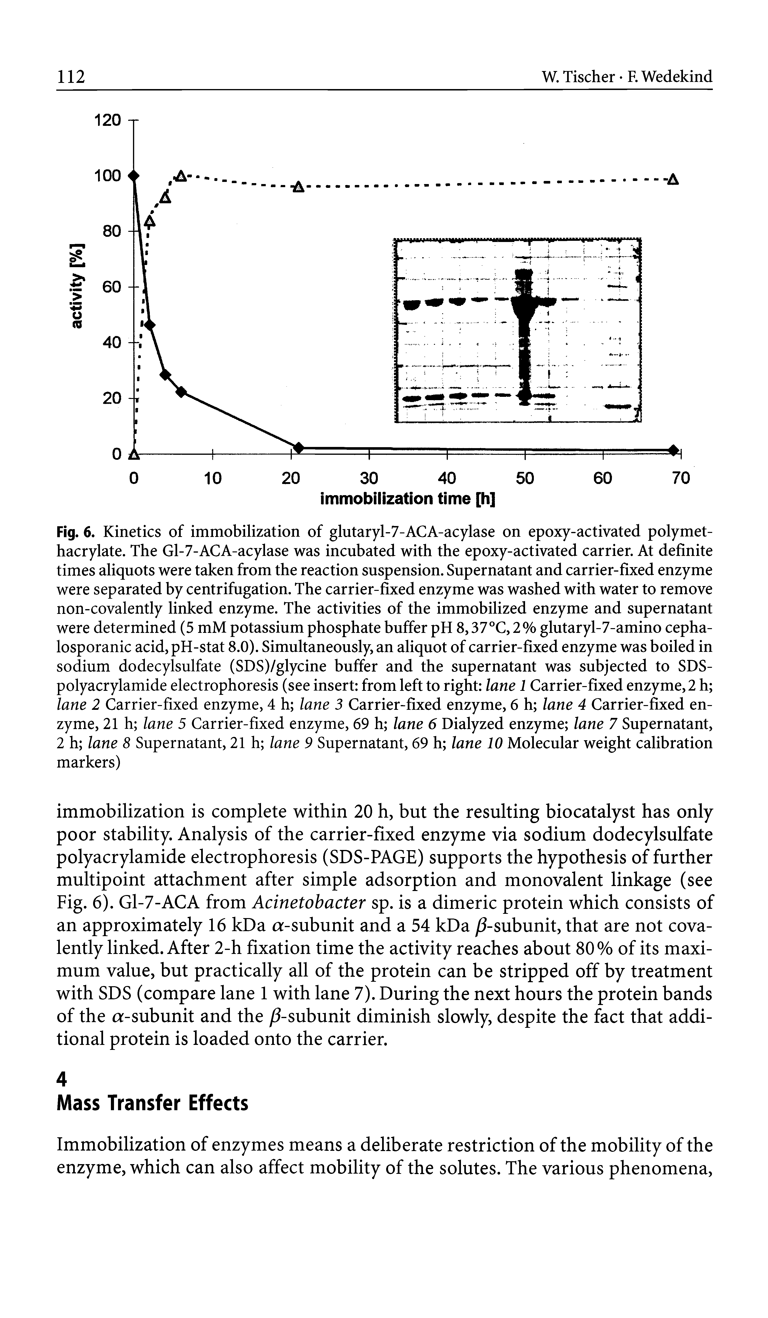 Fig. 6. Kinetics of immobilization of glutaryl-7-ACA-acylase on epoxy-activated polymethacrylate. The Gl-7-ACA-acylase was incubated with the epoxy-activated carrier. At definite times aliquots were taken from the reaction suspension. Supernatant and carrier-fixed enzyme were separated by centrifugation. The carrier-fixed enzyme was washed with water to remove non-covalently linked enzyme. The activities of the immobilized enzyme and supernatant were determined (5 mM potassium phosphate buffer pH 8,37°C, 2% glutaryl-7-amino cepha-losporanic acid, pH-stat 8.0). Simultaneously, an aliquot of carrier-fixed enzyme was boiled in sodium dodecylsulfate (SDS)/glycine buffer and the supernatant was subjected to SDS-polyacrylamide electrophoresis (see insert from left to right lane 1 Carrier-fixed enzyme, 2 h lane 2 Carrier-fixed enzyme, 4 h lane 3 Carrier-fixed enzyme, 6 h lane 4 Carrier-fixed enzyme, 21 h lane 5 Carrier-fixed enzyme, 69 h lane 6 Dialyzed enzyme lane 7 Supernatant, 2 h lane 8 Supernatant, 21 h lane 9 Supernatant, 69 h lane 10 Molecular weight calibration markers)...