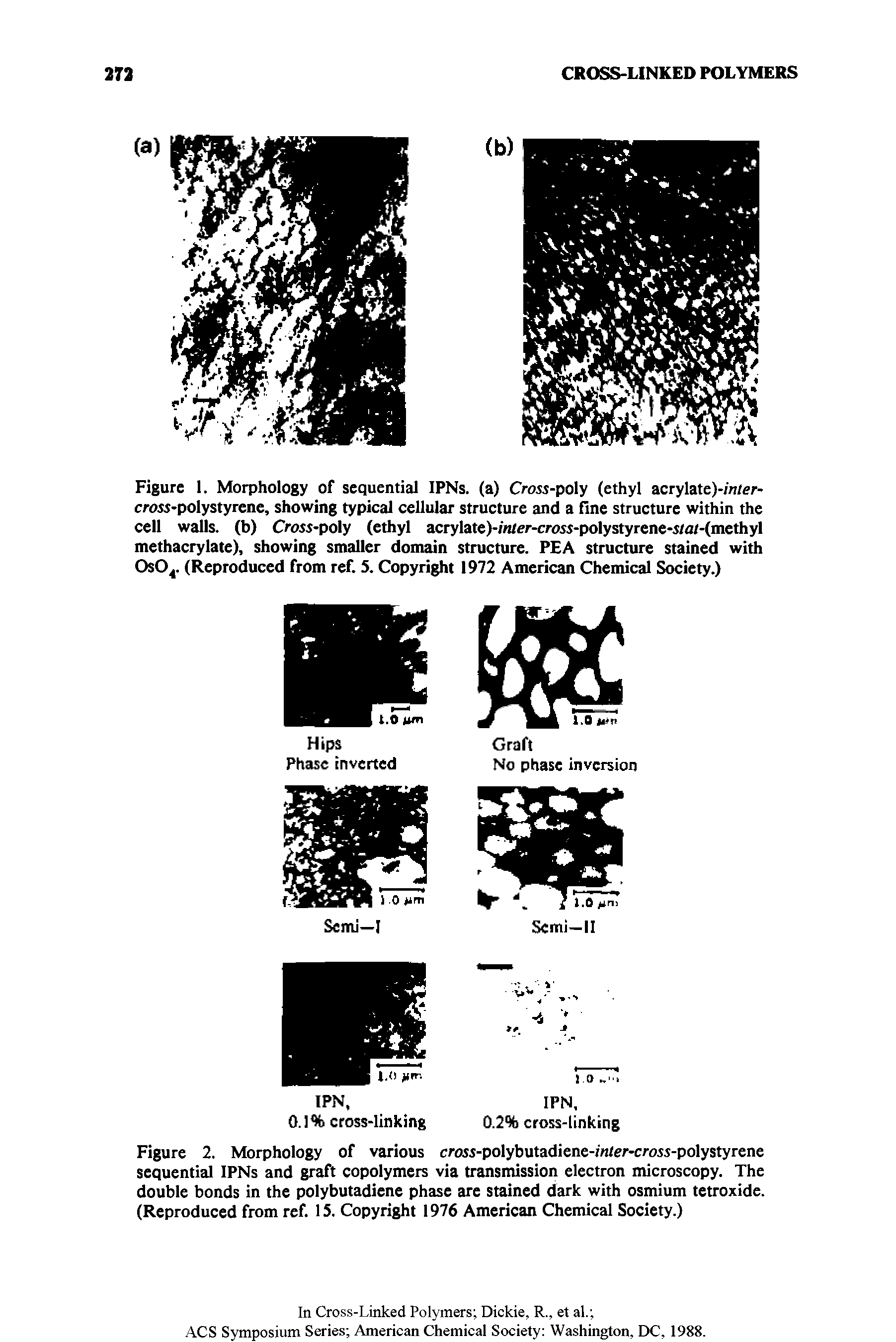 Figure 1. Morphology of sequential IPNs. (a) Crois-poly (ethyl acrylate)-m/er-crojs-polystyrene, showing typical cellular structure and a fine structure within the cell walls, (b) Cross-poly (ethyl acrylate)-/ /cr-cross-polystyrene-s/a/-(methyl methacrylate), showing smaller domain structure. PEA structure stained with OsO. (Reproduced from ref. 5. Copyright 1972 American Chemical Society.)...