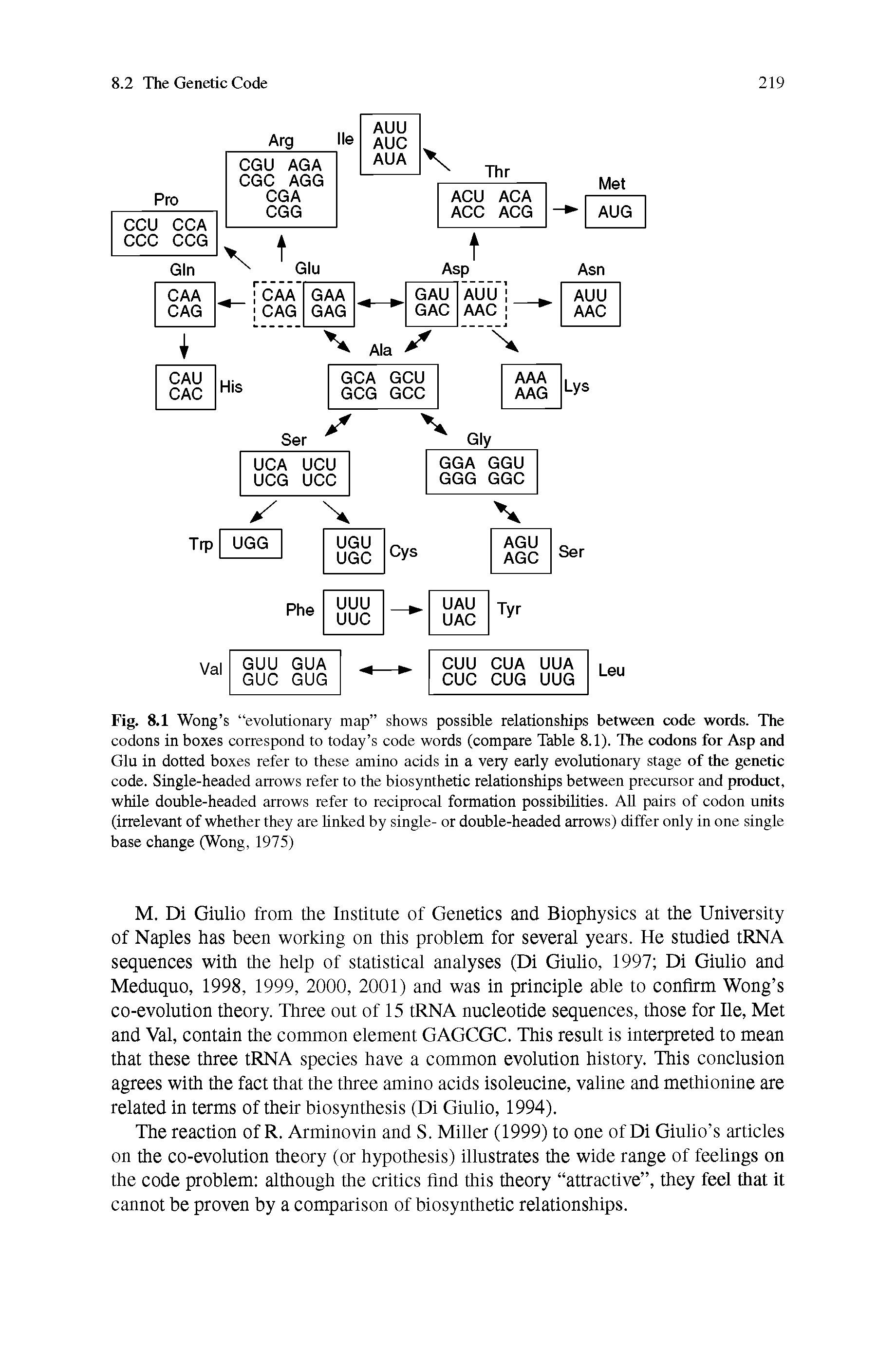 Fig. 8.1 Wong s evolutionary map shows possible relationships between code words. The codons in boxes correspond to today s code words (compare Table 8.1). The codons for Asp and Glu in dotted boxes refer to these amino acids in a very early evolutionary stage of the genetic code. Single-headed arrows refer to the biosynthetic relationships between precursor and product, while double-headed arrows refer to reciprocal formation possibilities. All pairs of codon units (irrelevant of whether they are linked by single- or double-headed arrows) differ only in one single base change (Wong, 1975)...