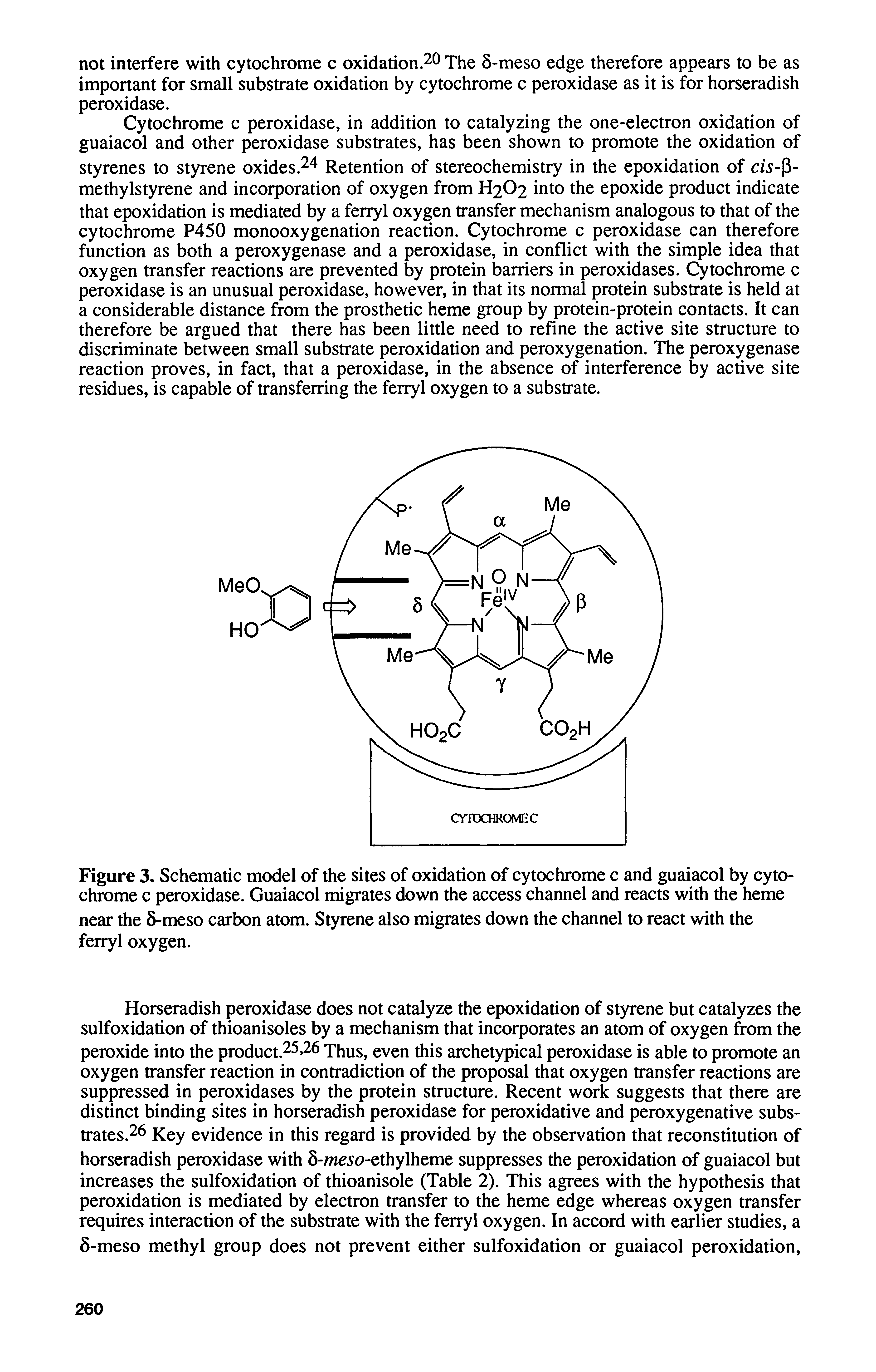 Figure 3. Schematic model of the sites of oxidation of cytochrome c and guaiacol by cytochrome c peroxidase. Guaiacol migrates down the access channel and reacts with the heme near the 5-meso carbon atom. Styrene also migrates down the channel to react with the ferryl oxygen.