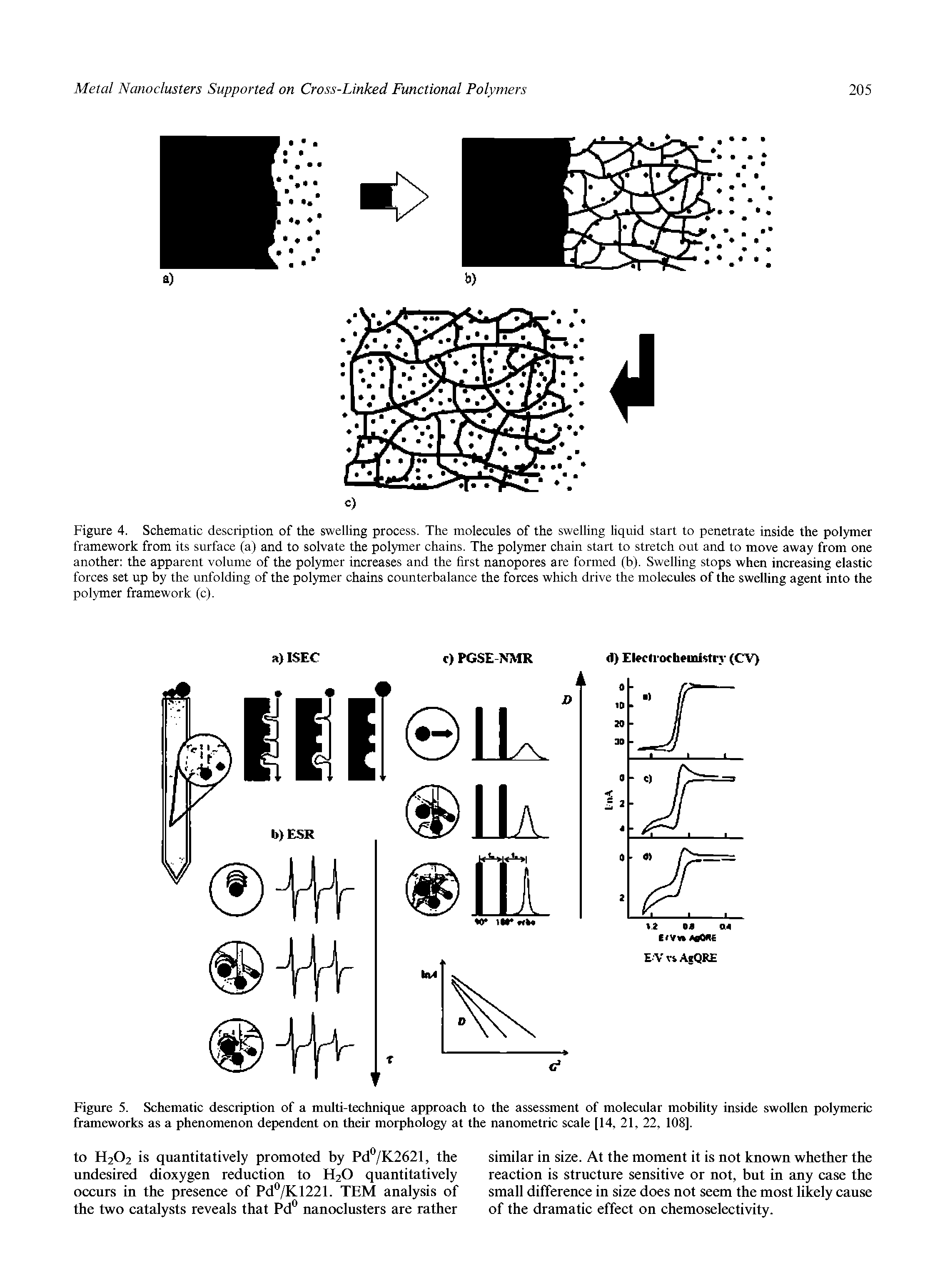 Figure 5. Schematic description of a multi-technique approach to the assessment of molecular mobility inside swollen polymeric frameworks as a phenomenon dependent on their morphology at the nanometric scale [14, 21, 22, 108].