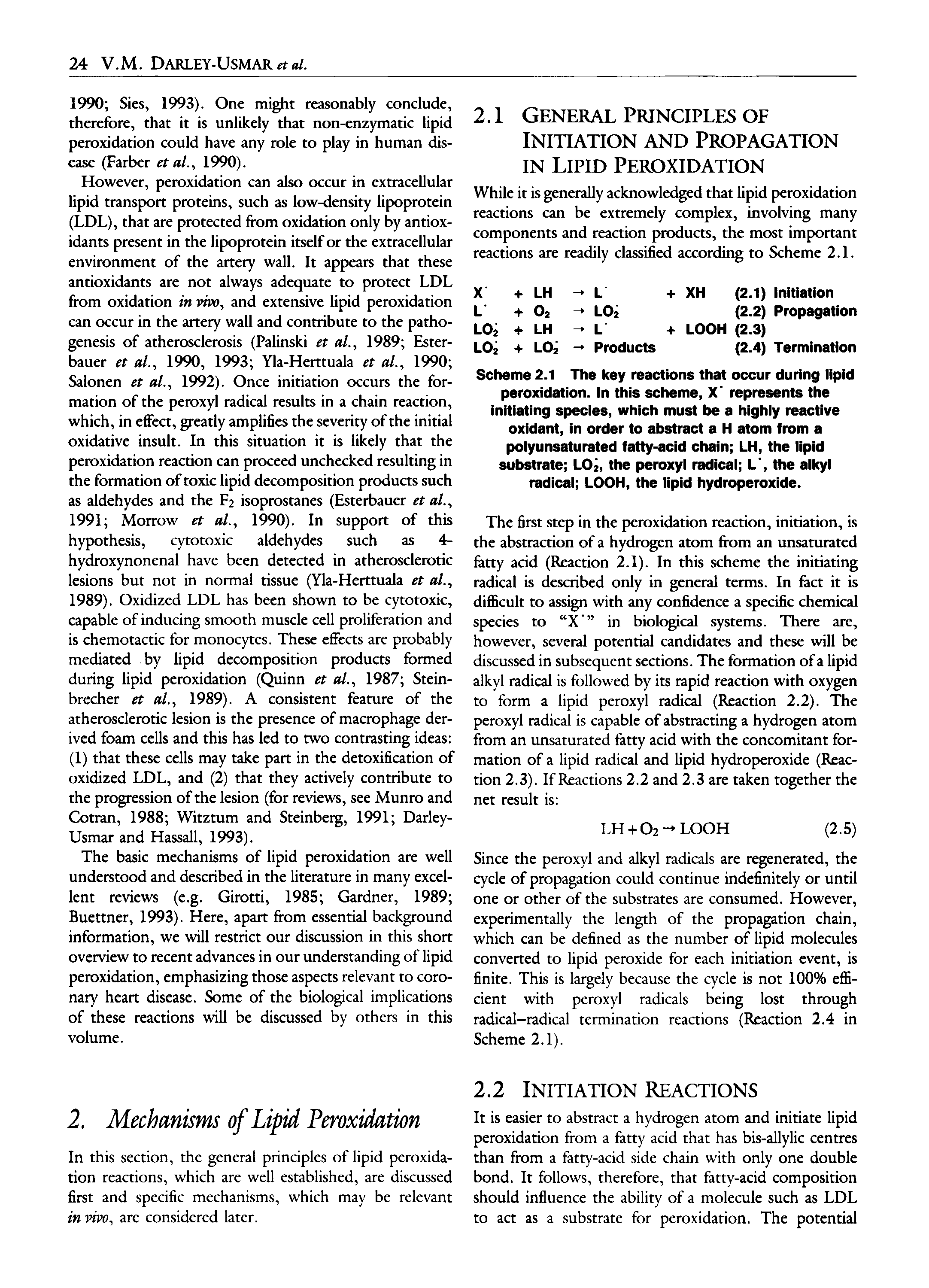 Scheme 2.1 The key reactions that occur during lipid peroxidation, in this scheme, X represents the initiating species, which must be a highiy reactive oxidant, in order to abstract a H atom from a poiyunsaturated fatty-acid chain LH, the iipid substrate LO2, the peroxyi radicai L, the alkyl radical LOOH, the lipid hydroperoxide.