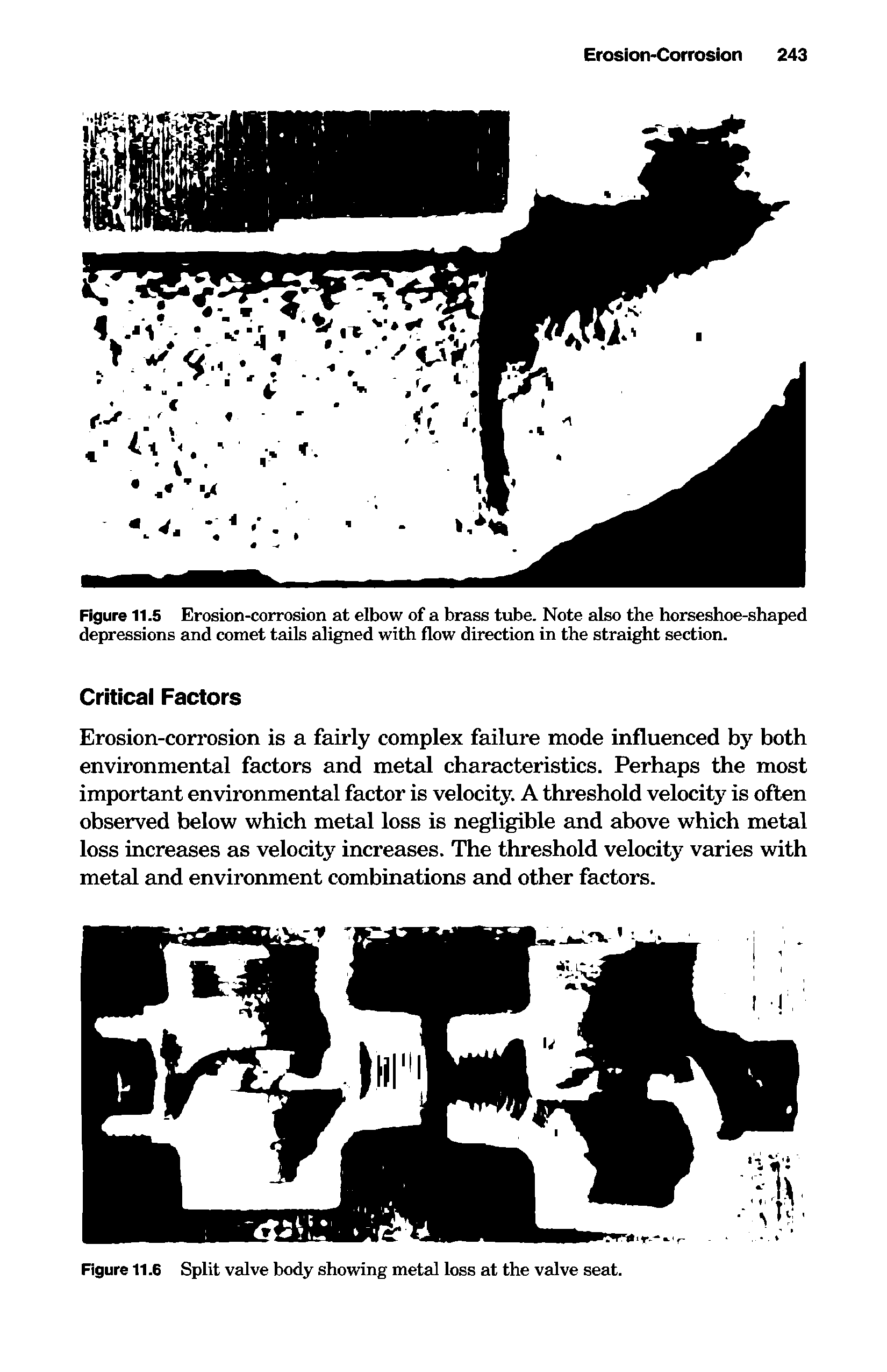 Figure 11.5 Erosion-corrosion at elbow of a brass tube. Note also the borseshoe-shaped depressions and comet tails aligned with flow direction in the straight section.