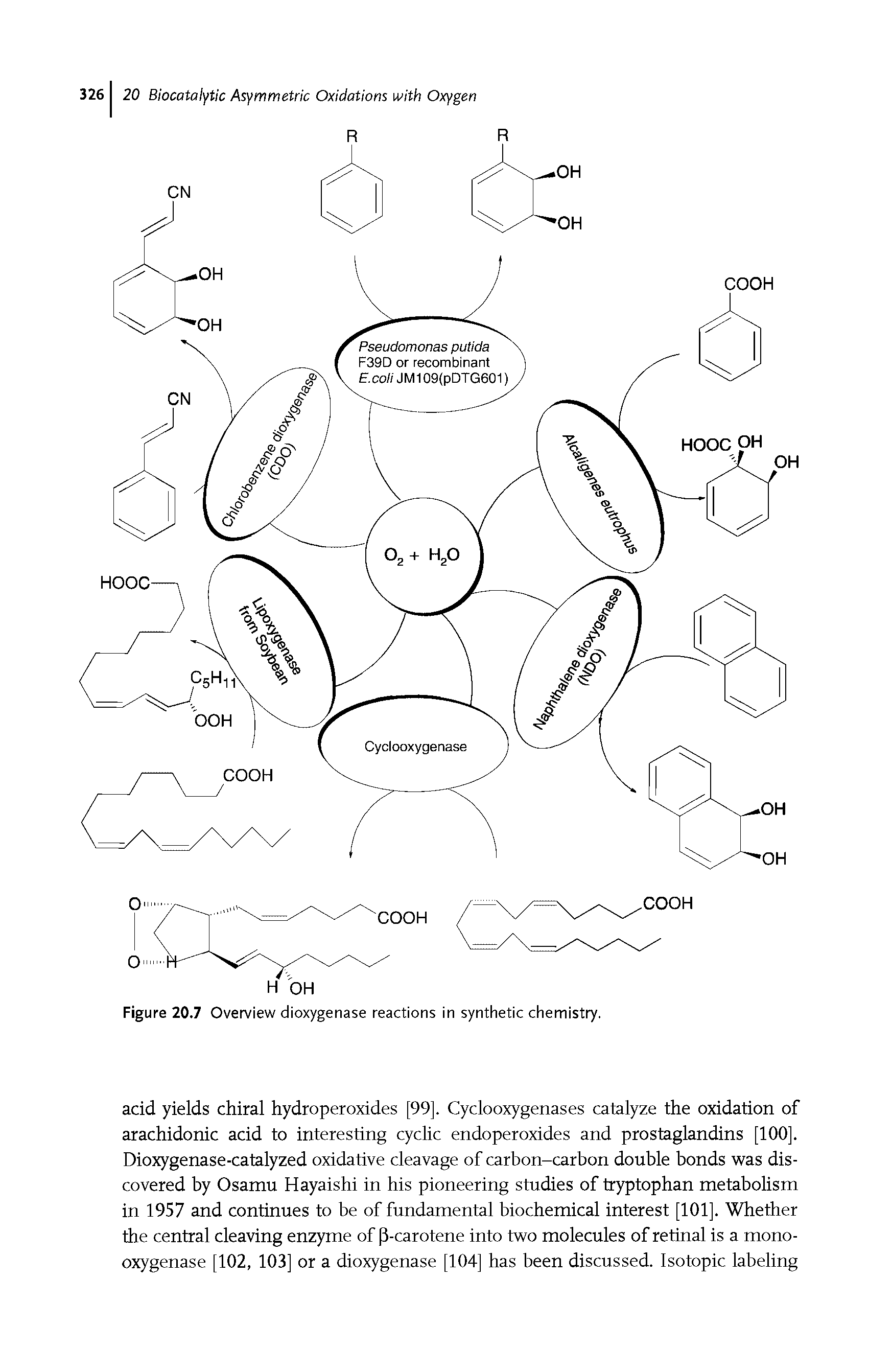 Figure 20.7 Overview dioxygenase reactions in synthetic chemistry.