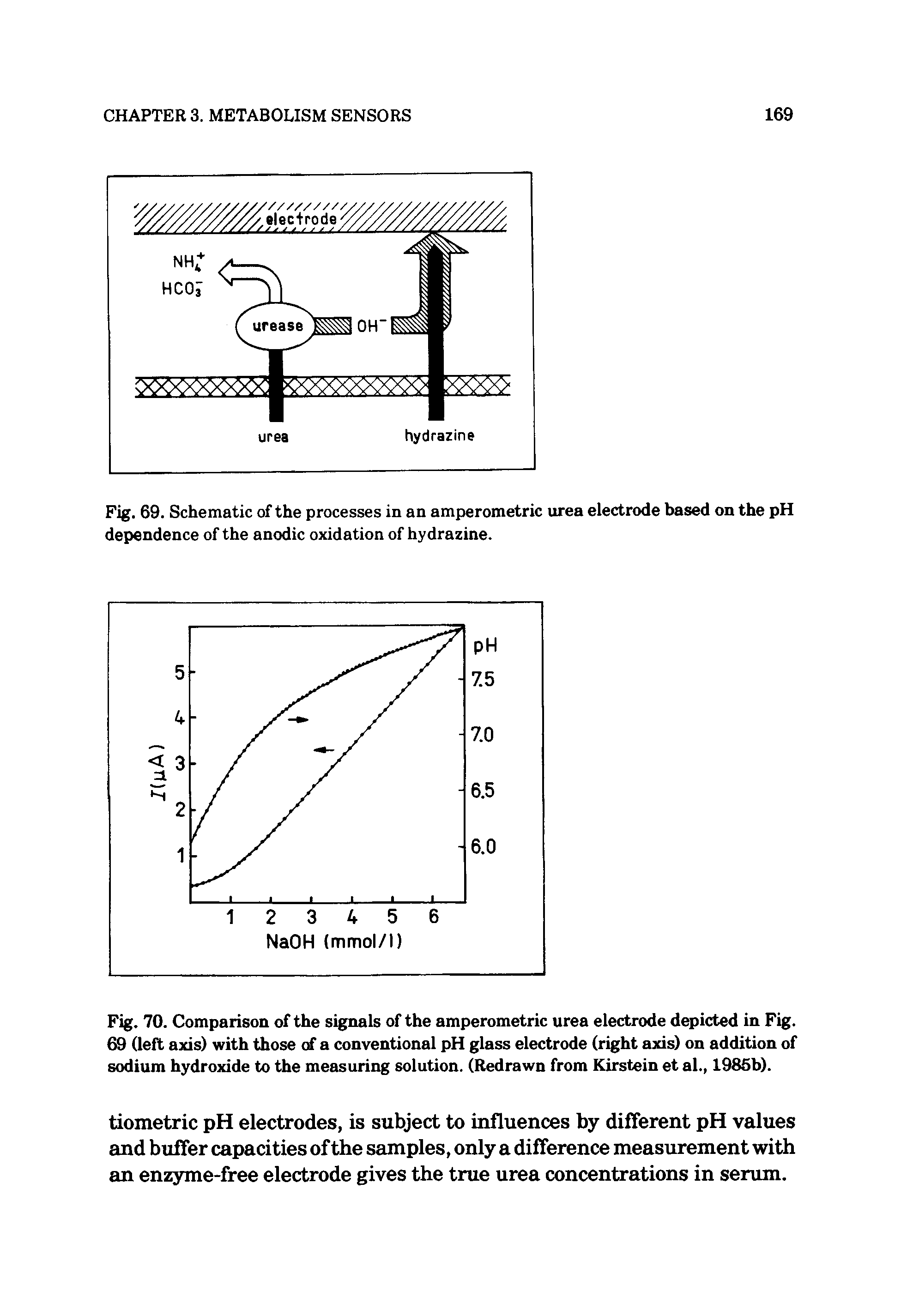 Fig. 69. Schematic of the processes in an amperometric urea electrode based on the pH dependence of the anodic oxidation of hydrazine.