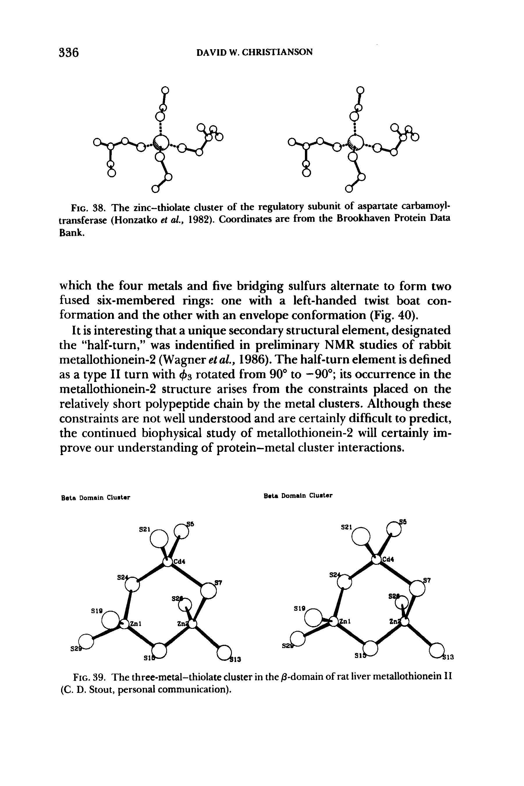 Fig. 39. The three-metal-thiolate cluster in the j8-domain of rat liver metallothionein II (C. D. Stout, personal communication).