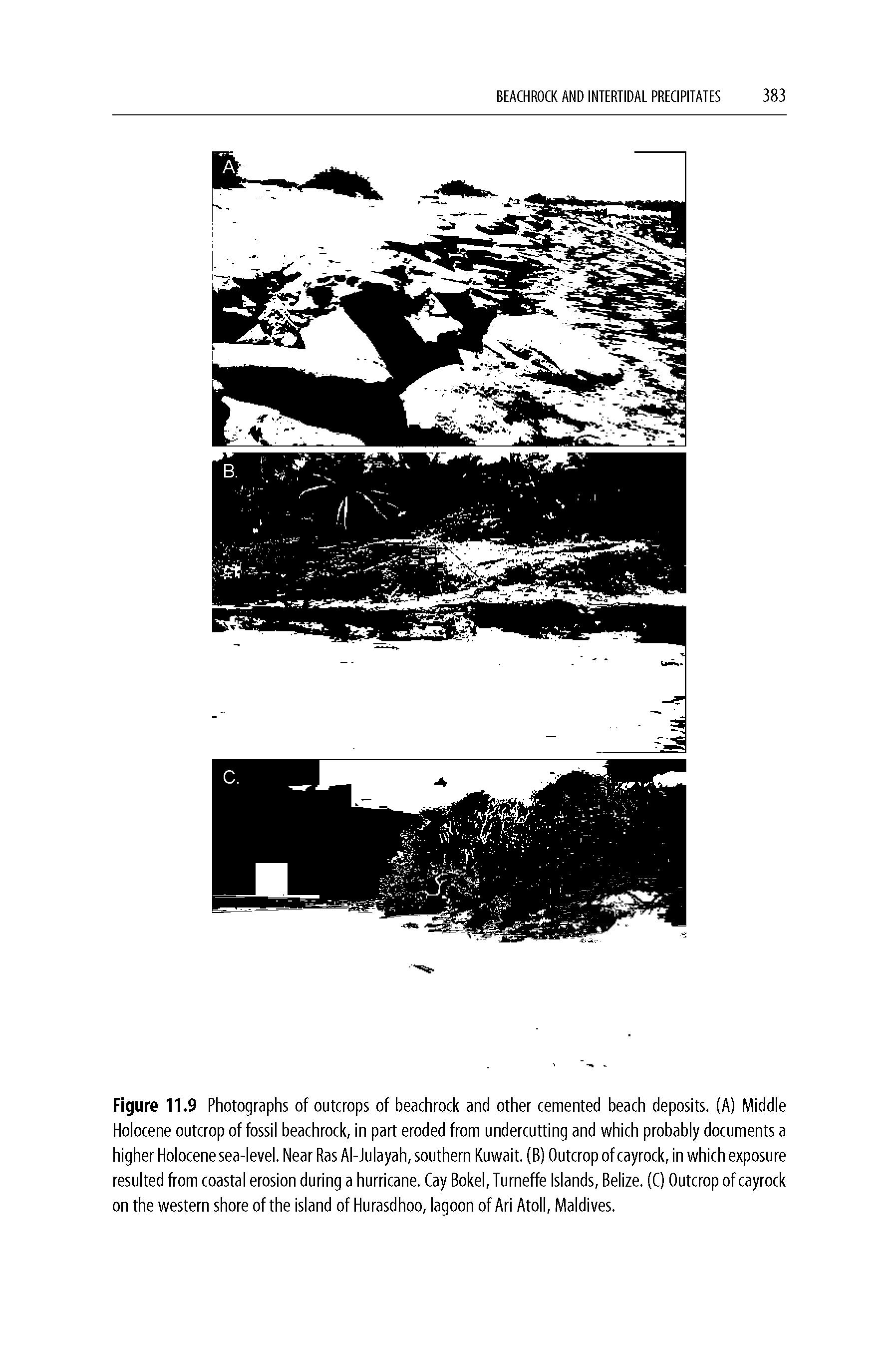 Figure 11.9 Photographs of outcrops of beachrock and other cemented beach deposits. (A) Middle Holocene outcrop of fossil beachrock, in part eroded from undercutting and which probably documents a higher Holocene sea-level. Near Ras Al-Julayah, southern Kuwait. (B) Outcrop of cayrock, in which exposure resulted from coastal erosion during a hurricane. Cay Bokel, Turneffe Islands, Belize. (C) Outcrop of cayrock on the western shore of the island of Hurasdhoo, lagoon of Ari Atoll, Maldives.