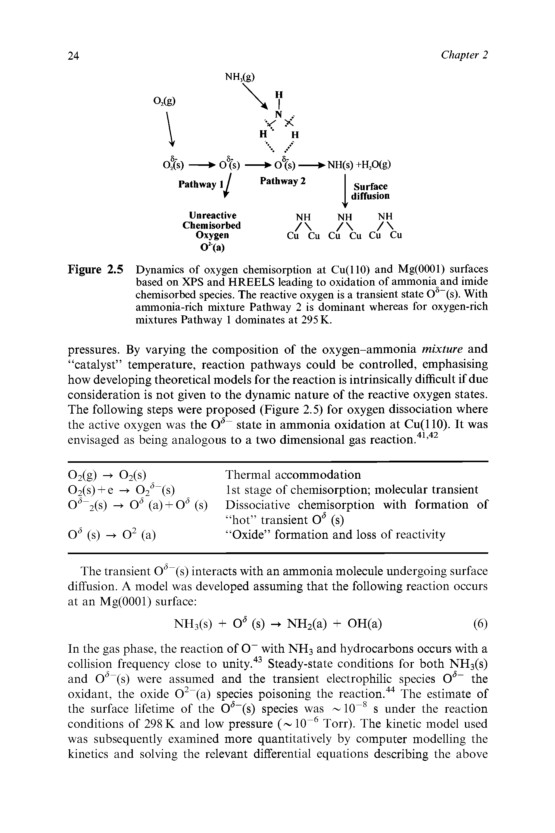 Figure 2.5 Dynamics of oxygen chemisorption at Cu(110) and Mg(0001) surfaces based on XPS and HREELS leading to oxidation of ammonia and imide chemisorbed species. The reactive oxygen is a transient state Cr(s). With ammonia-rich mixture Pathway 2 is dominant whereas for oxygen-rich mixtures Pathway 1 dominates at 295 K.