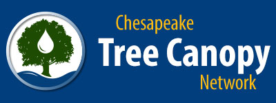 Chesapeake Tree Canopy Network