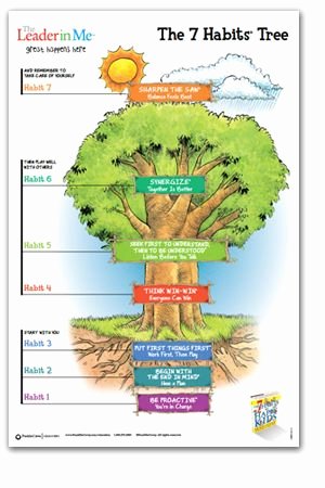 7 Habits Worksheet Pdf Unique 7 Habits Tree On Pinterest