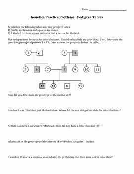 Genetics Worksheet Answer Key Awesome 15 Best Of Pedigree Problem Worksheet Answers