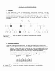 Genetics Worksheet Answer Key Beautiful Mendelian Genetics Worksheet Mendelian Genetics