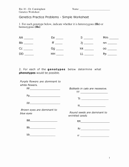 Genetics Worksheet Answer Key Elegant Genetics Practice Answer Key