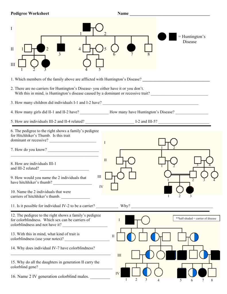 Genetics Worksheet Answer Key Elegant Pedigree Worksheet &amp; Key