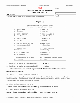 Genetics Worksheet Answer Key Fresh Alleles Activity Dragon Genetics Worksheet 1