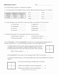 Genetics Worksheet Answer Key Fresh Bikini Bottom Genetics 2 6th 8th Grade Worksheet