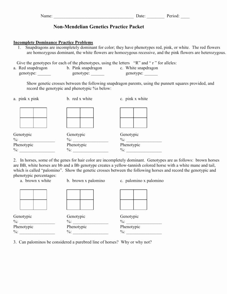 Genetics Worksheet Answer Key Inspirational Genetics Practice Problems Worksheet