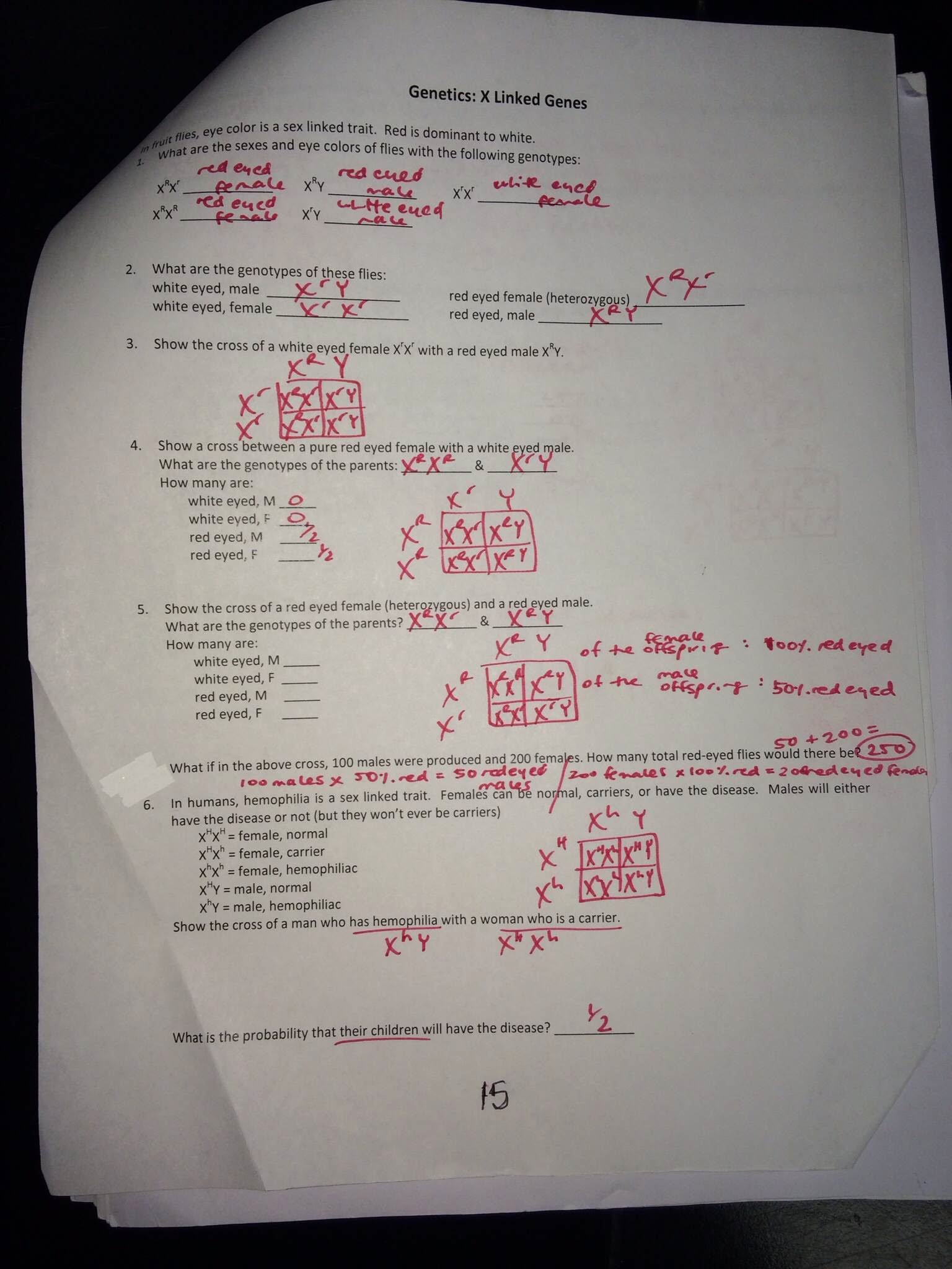 Genetics Worksheet Answer Key Inspirational Worksheet Genetics Practice Problems Worksheet Answers